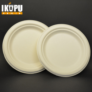 Professional Paper Plates Food Container